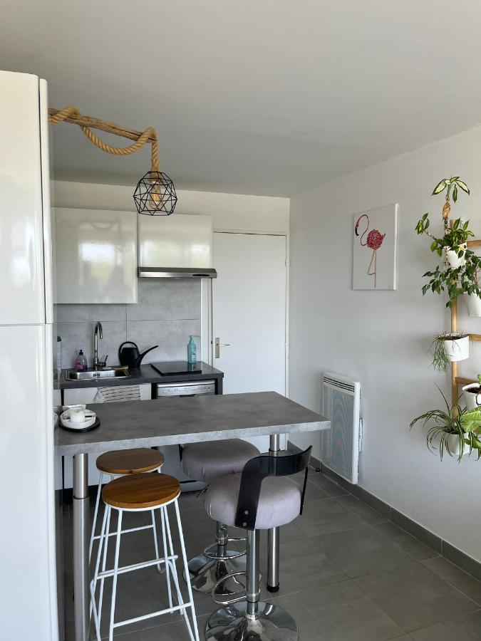 Studio Port Camargues Льо Гро-дю-Роа Екстериор снимка